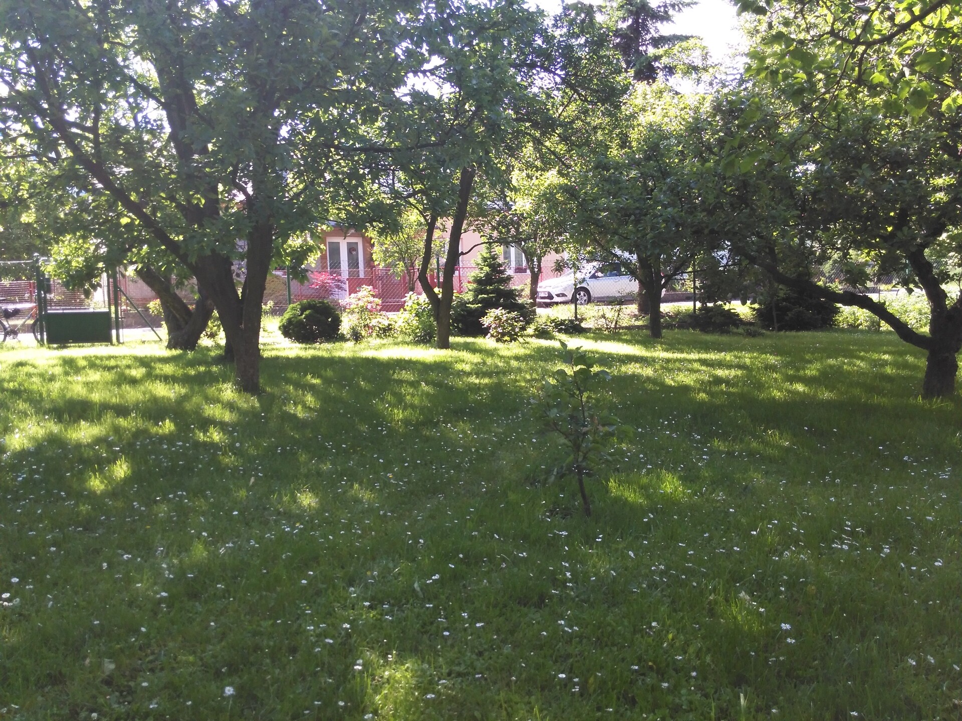 Huawei Ascend G6 LTE