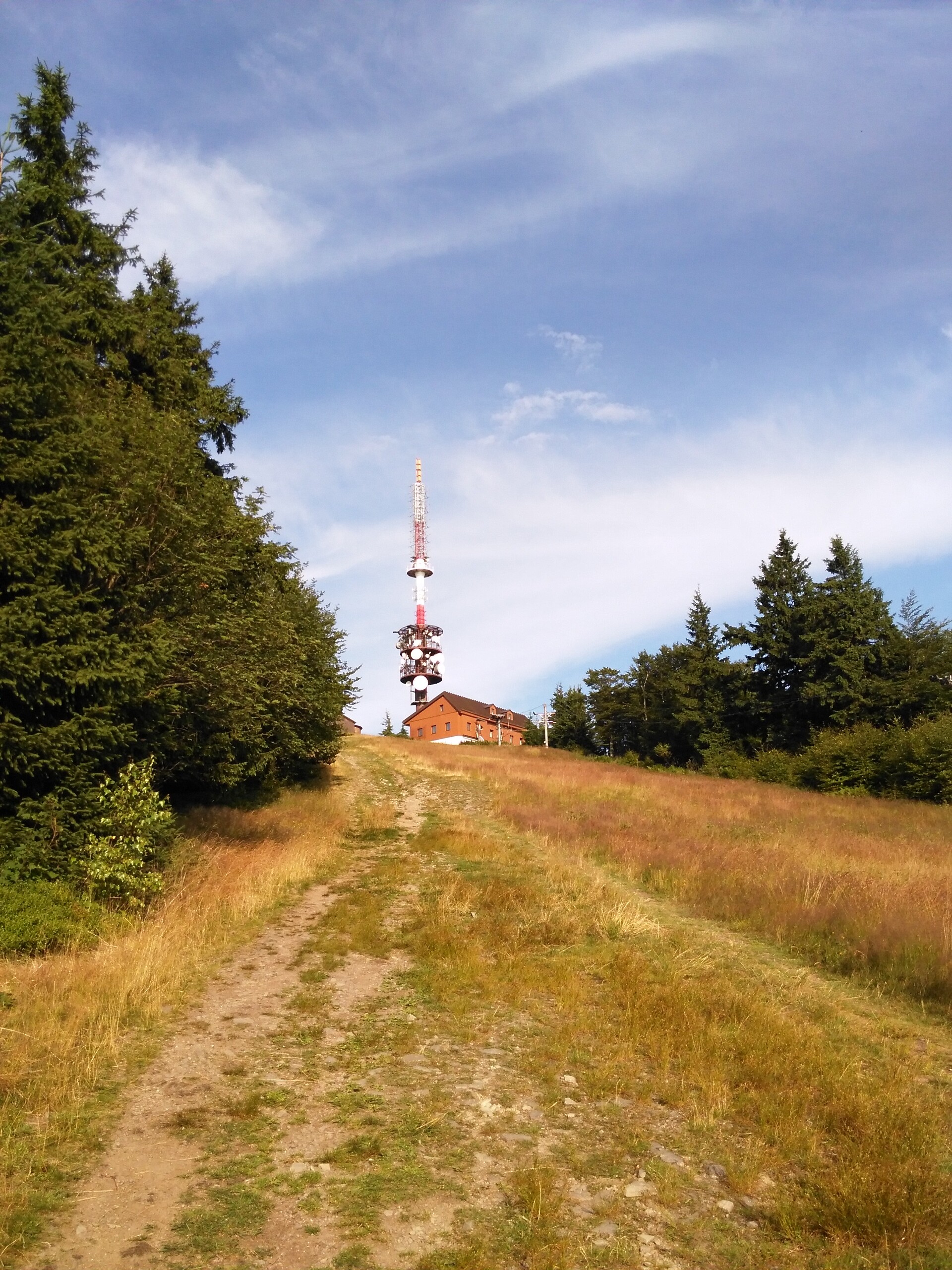 Huawei Ascend G6 LTE