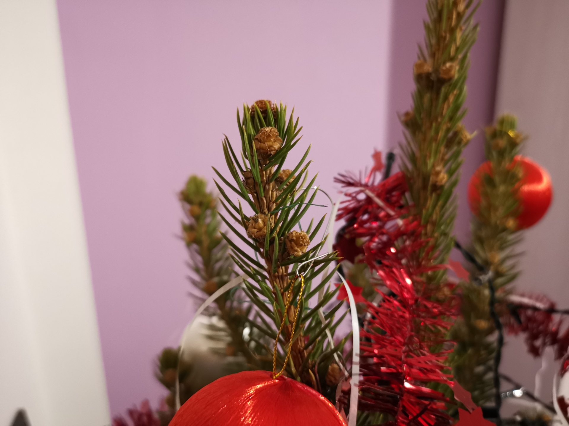 Huawei Mate 20 RS Porsche Design