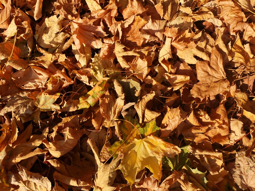 Huawei Mate RS Porsche Design