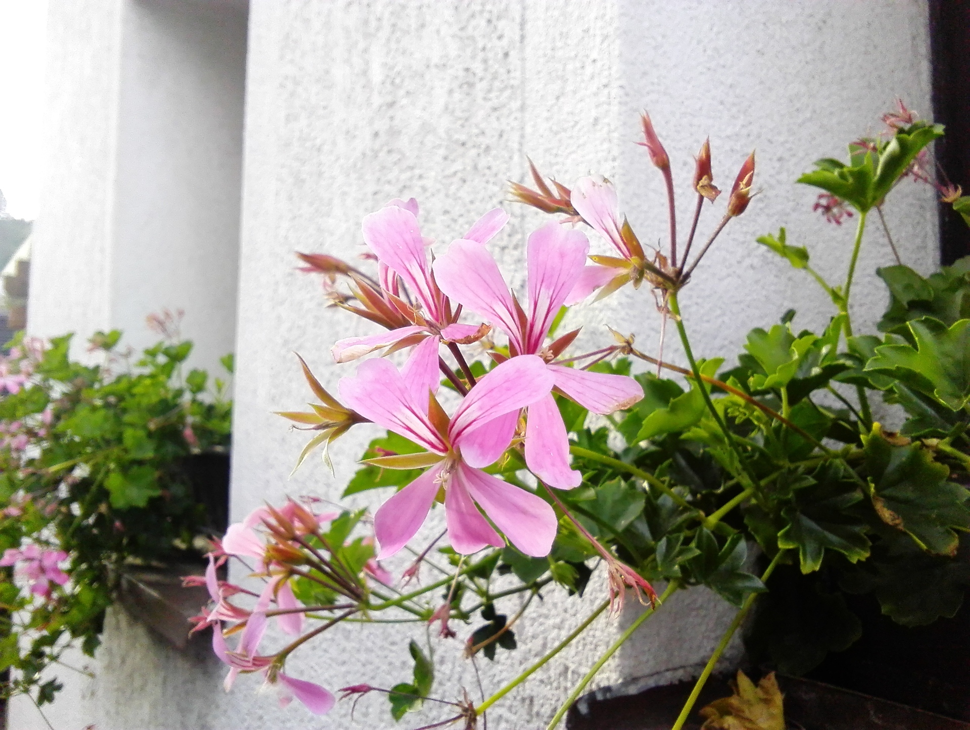 Huawei MediaPad M1 8.0