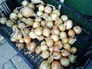 Huawei MediaPad M1 8.0