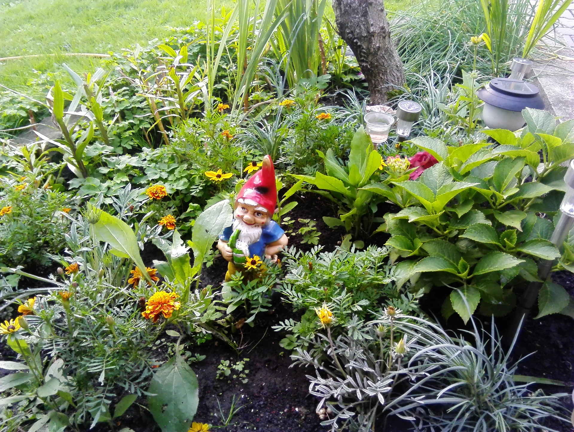 Huawei MediaPad M1 8.0