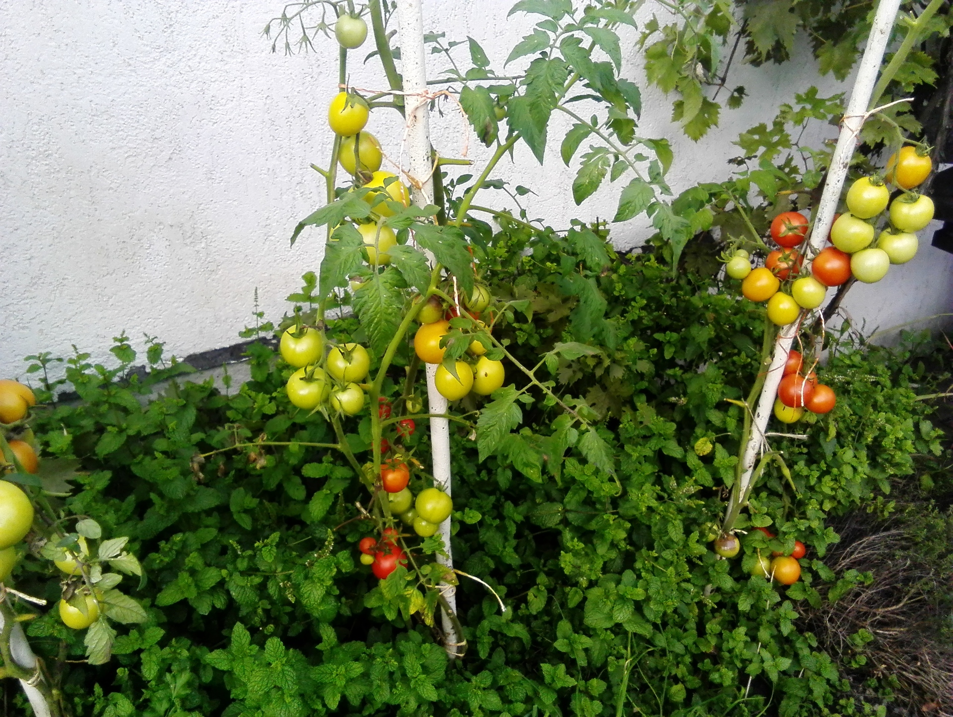 Huawei MediaPad M1 8.0