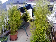 Huawei MediaPad M1 8.0