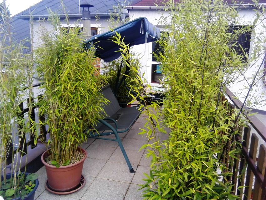 Huawei MediaPad M1 8.0