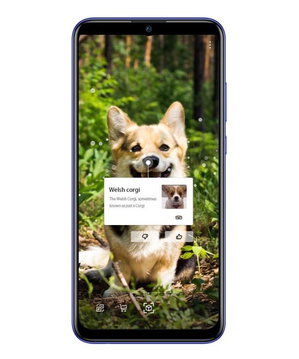 Huawei P smart+ 2019