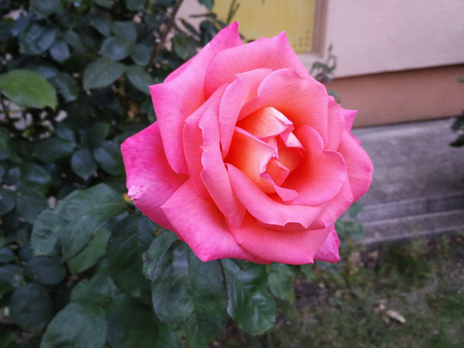 Huawei P9 Lite vs Alcatel Idol 4 