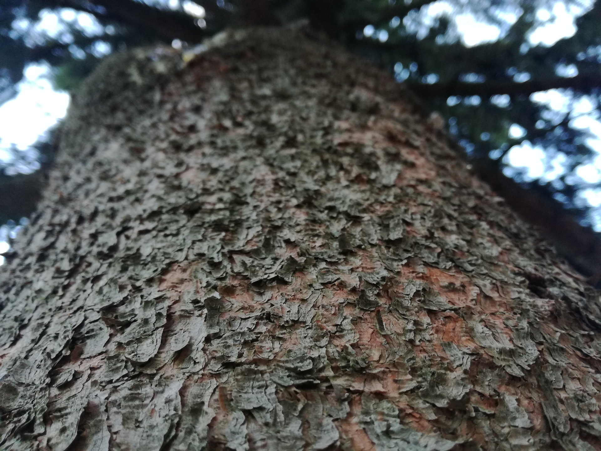 Huawei P9 Lite vs Alcatel Idol 4 