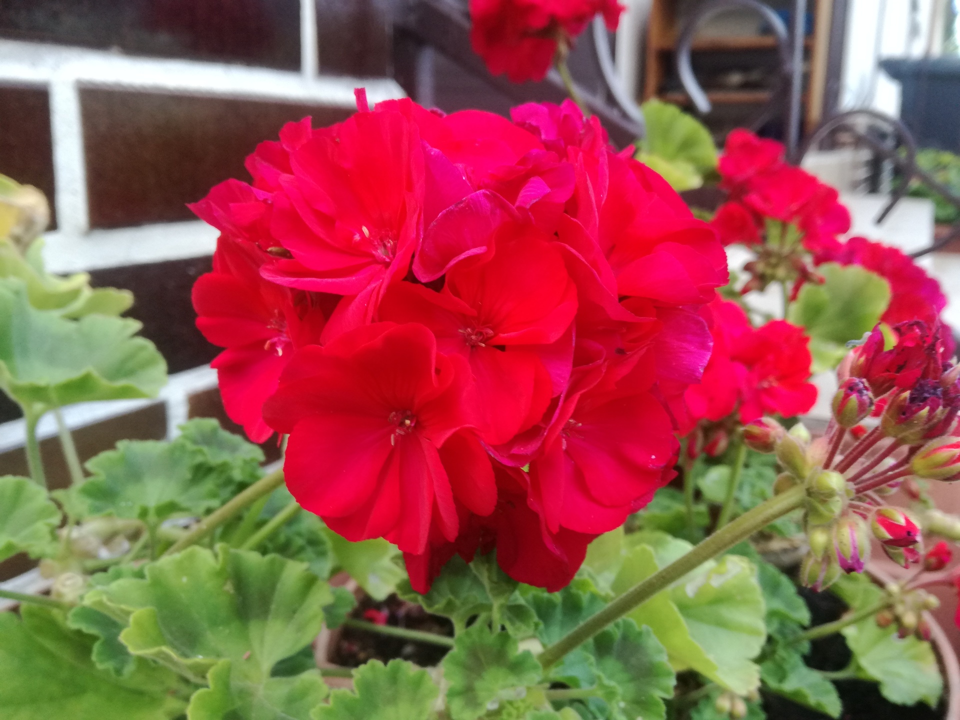 Huawei P9 Lite vs Alcatel Idol 4 