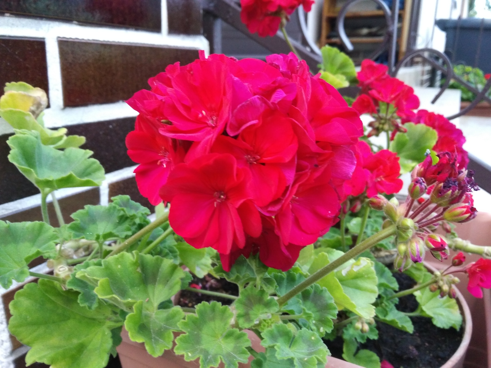 Huawei P9 Lite vs Alcatel Idol 4 