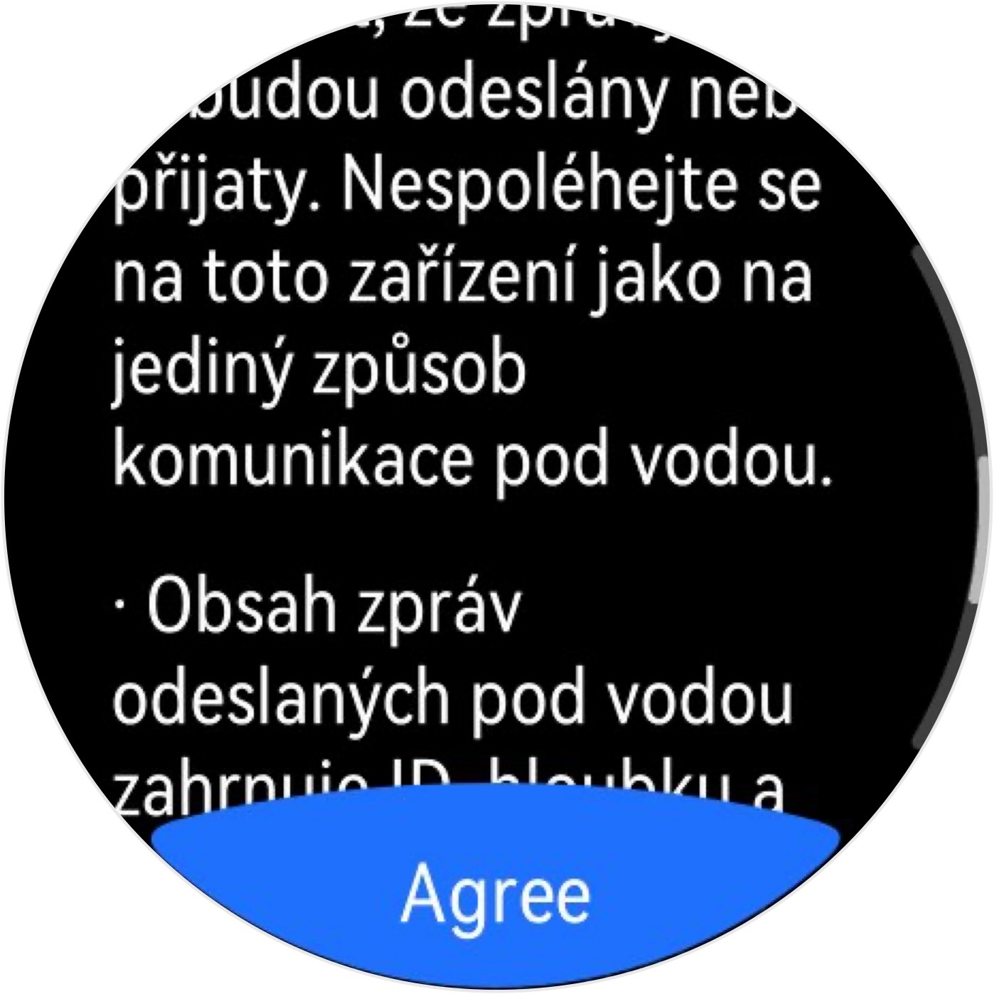 Huawei Watch Ultimate 2