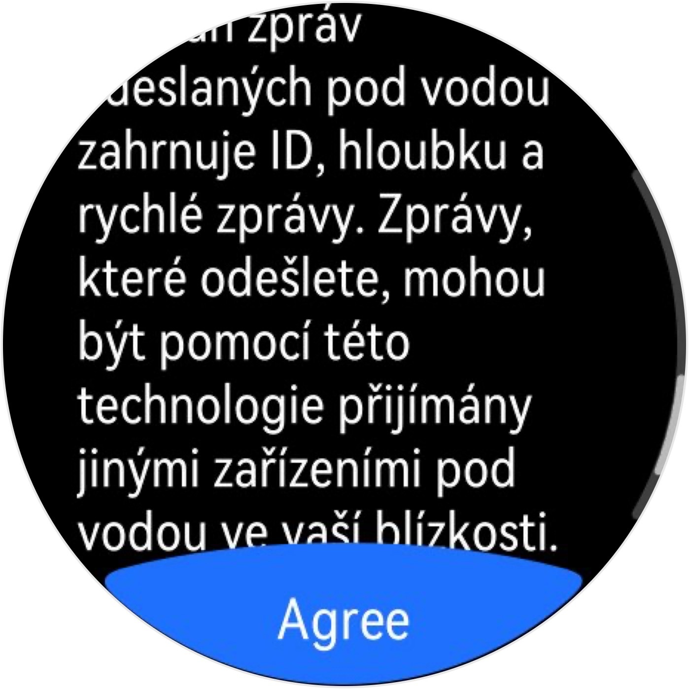 Huawei Watch Ultimate 2