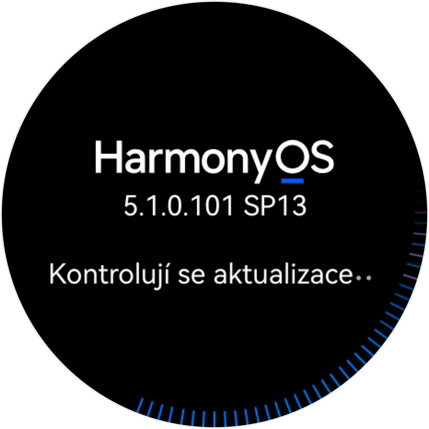 Huawei Watch Ultimate 2