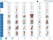 Human Anatomy Atlas
