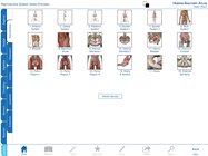 Human Anatomy Atlas