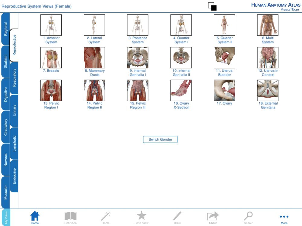Human Anatomy Atlas