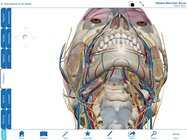 Human Anatomy Atlas