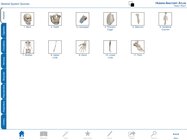 Human Anatomy Atlas