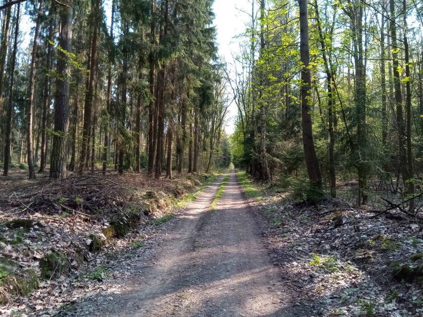 iGET BLACKVIEW GBV8000 Pro