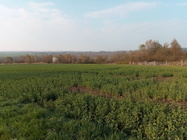 iGET BLACKVIEW GBV8000 Pro