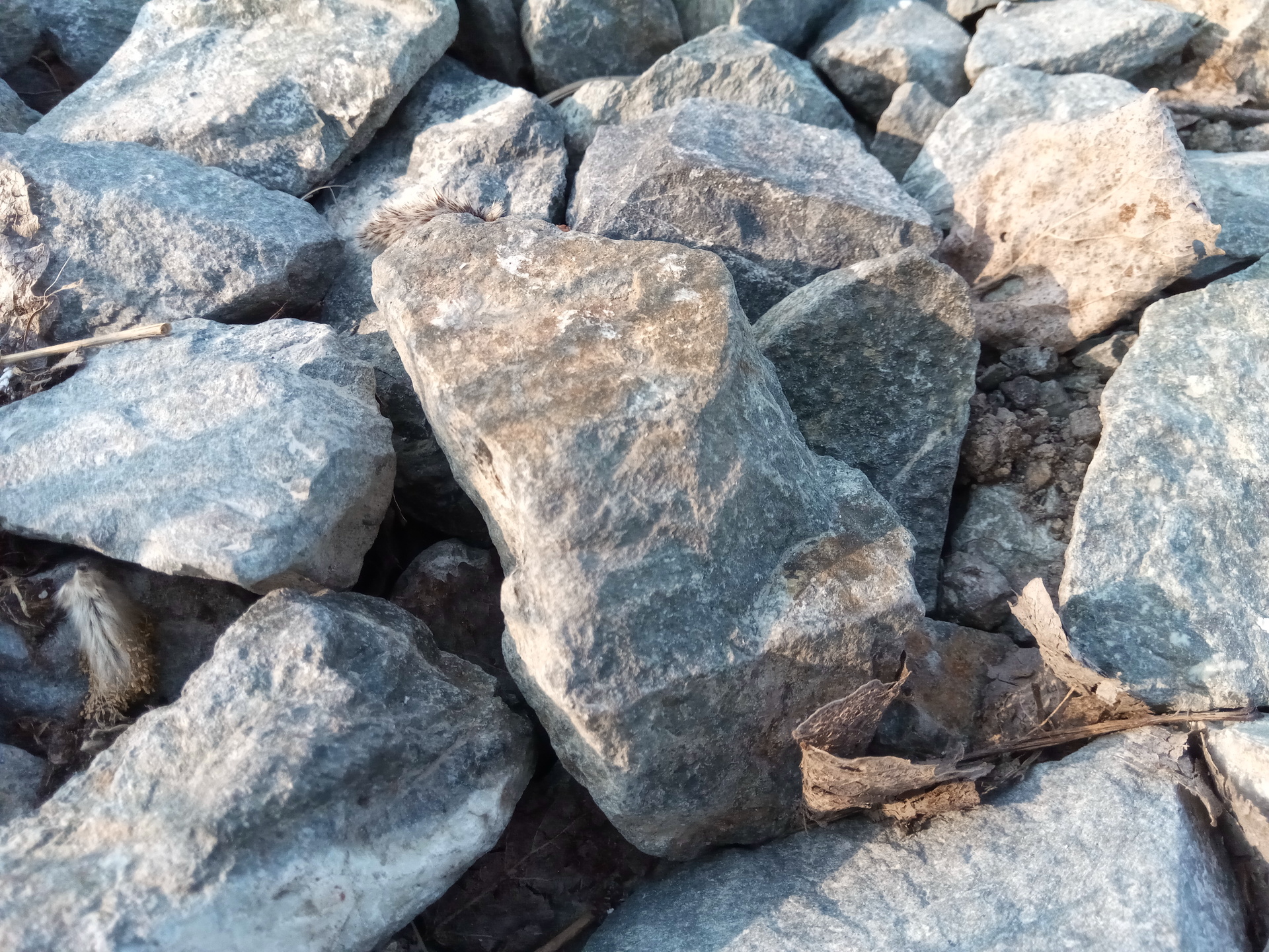 iGET BLACKVIEW GBV8000 Pro