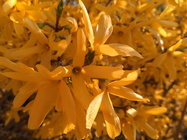 iGET BLACKVIEW GBV8000 Pro