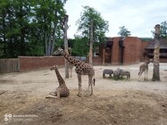 iGET Blackview GBV9900 Pro Thermo