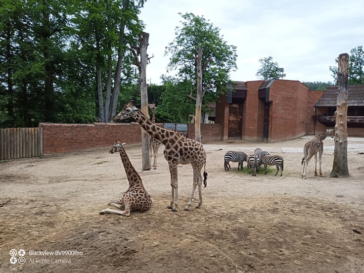 iGET Blackview GBV9900 Pro Thermo