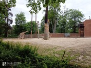 iGET Blackview GBV9900 Pro Thermo