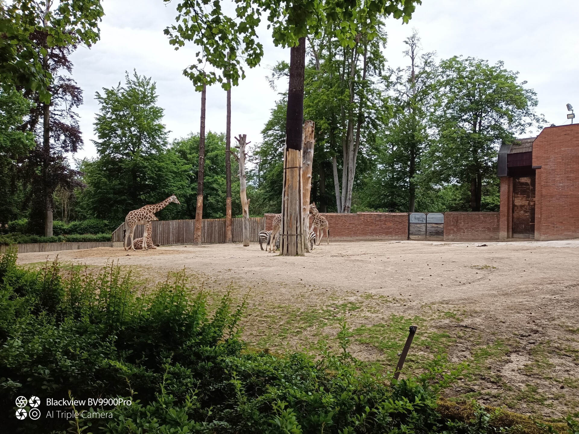 iGET Blackview GBV9900 Pro Thermo