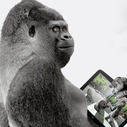 Corning představil Gorilla Glass SR+ pro budoucí wearables