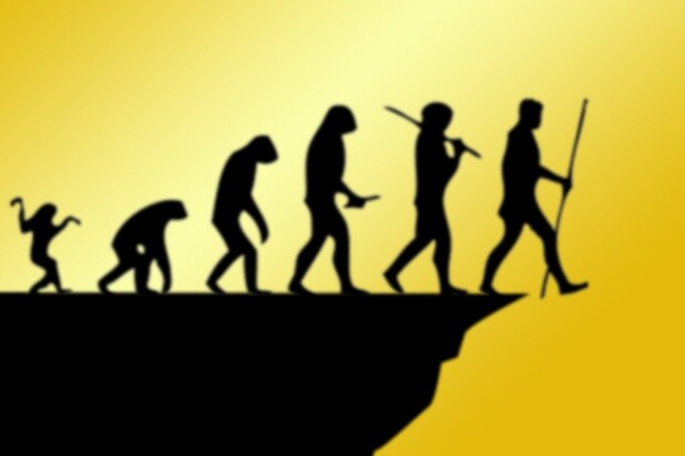 Smrtelná selfie i masturbace za volantem. Mobily začínají ovládat Darwinovy ceny