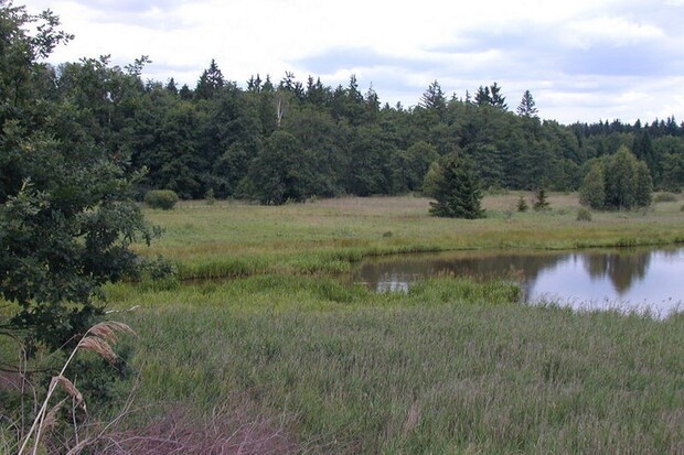 Brdy budou bezpečnější. Za 533 610 korun ročně se o to postará T-Mobile