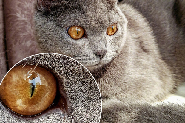 Základní Redmi Note 8 se pochlubí procesorem Snapdragon 665