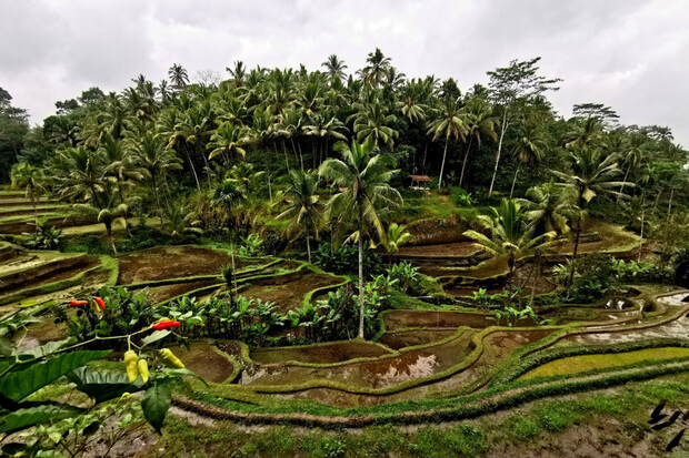 Objevte krásy Indonésie skrze objektivy fotoaparátu Huawei P30 Pro