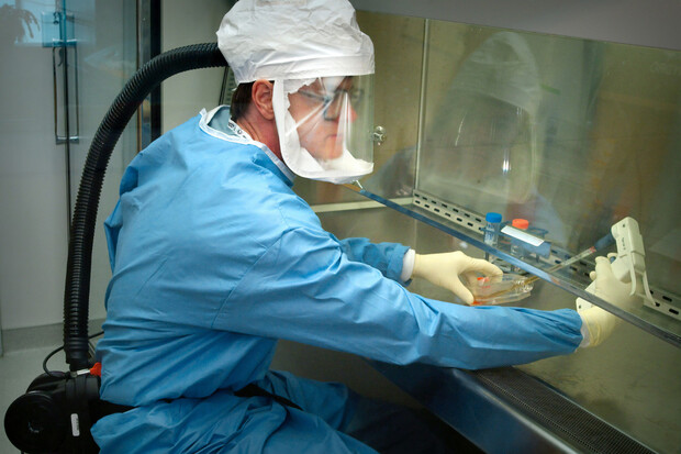 Čínští výrobci smartphonů se zapojili do boje se zákeřným koronavirem