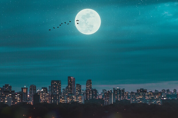 Kauza Samsung a Měsíc opět ukazuje, že králové jsou nazí 