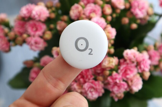 Nakupujete v Albertu? Nyní můžete získat Datamanii od O2 za zvýhodněnou cenu