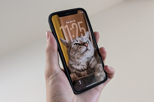 Testovat už mohou všichni. Apple vydává veřejnou beta verzi iOS 26