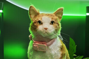 Na CESu byl k vidění i mobilní telefon pro kočky a psy