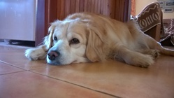 interiér bez blesku