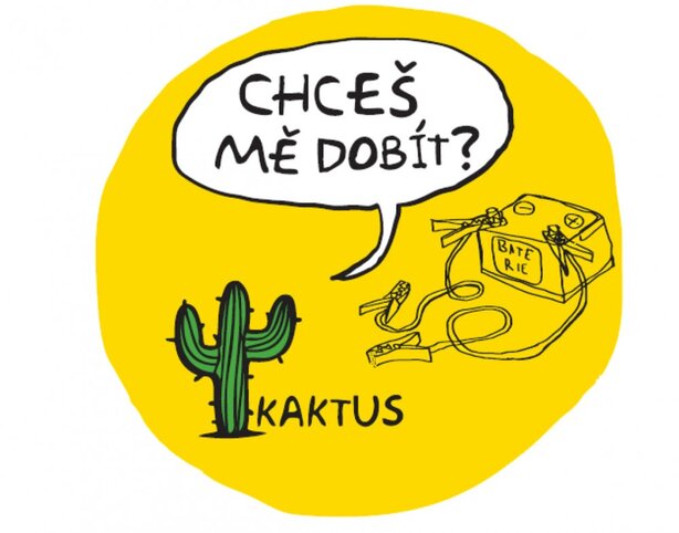 Kaktus