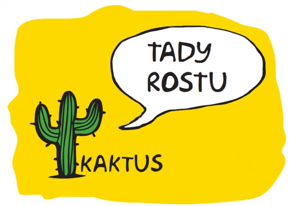 Kaktus