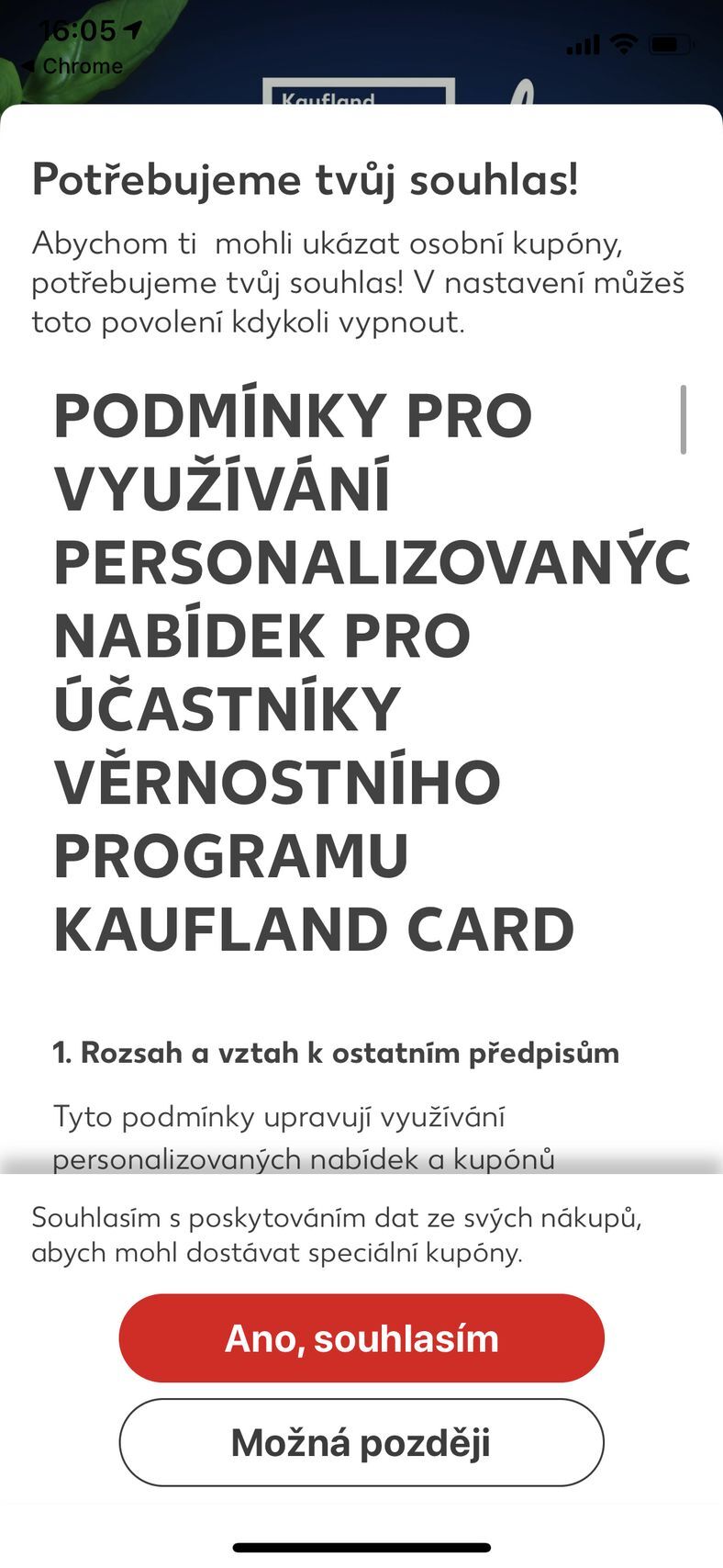 Kaufland - akce a recepty