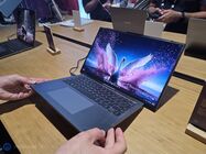 Lenovo Swan