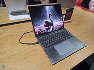 Lenovo Swan