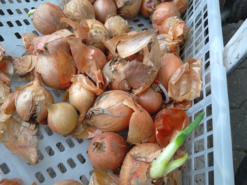 Lenovo Yoga Tablet 2 (10\" Android)