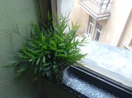 Lenovo Yoga Tablet 2 Pro