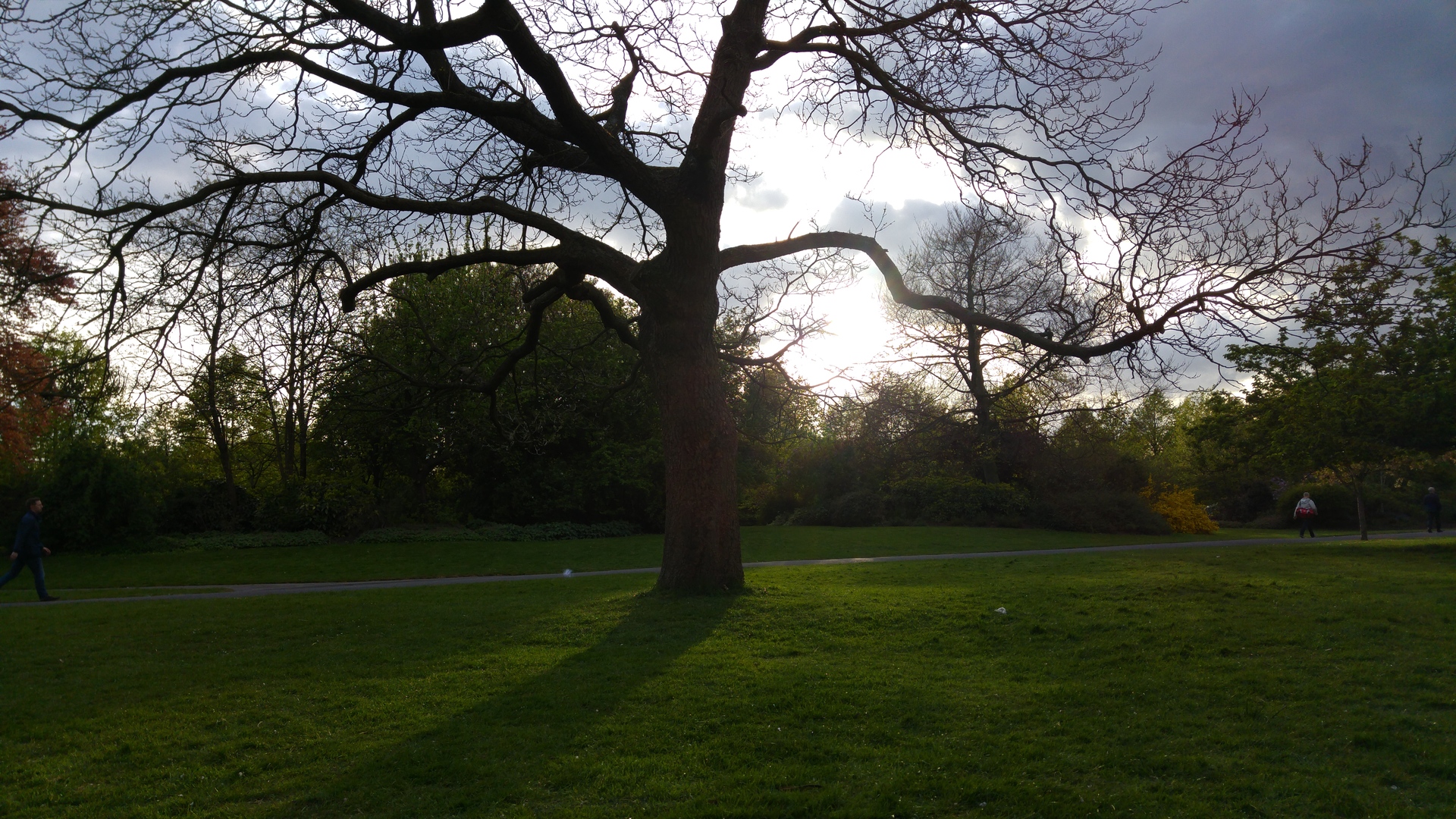 LG G4 (testovací fotky z Londýna)